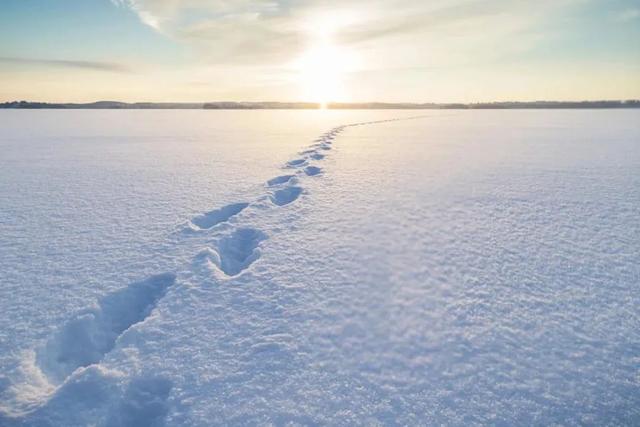 北京美团跑腿怎么收费标准，美团跑腿的收费标准