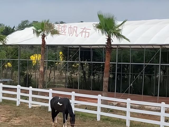 养鸡塑料平养网,养鸡塑料胶网