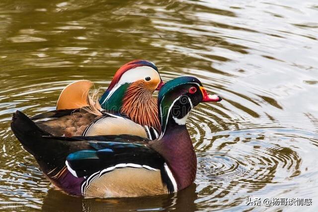 0秒测男生喜不喜欢你_学生时代,10秒测男生喜不喜欢你_学生时代,发消息"