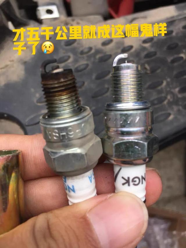 跑外卖最省油的踏板车是哪款,跑外卖最省油的踏板车是哪款车