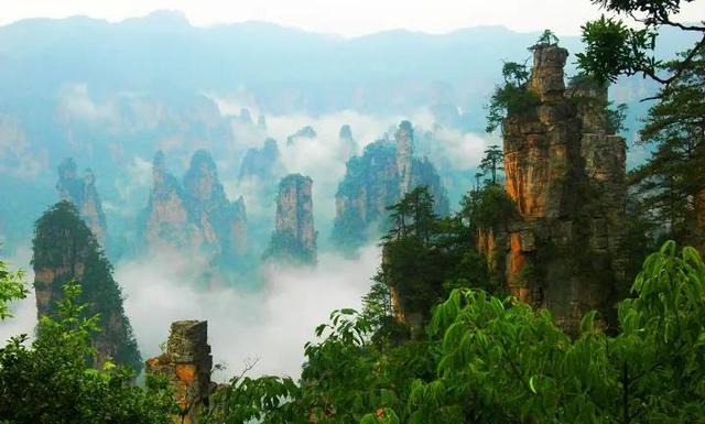 探险之旅作文评语大全，探险之旅作文评语大全四年级