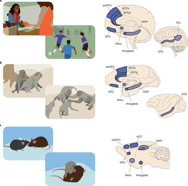恐怖音乐排行榜前十名纯音乐,恐怖音乐排行榜前十名纯音乐下载