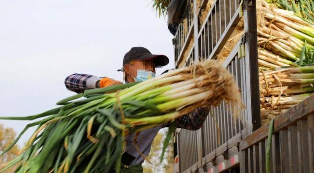 厂家招代理商免费铺货怎么写,厂家招代理商免费铺货怎么写文案