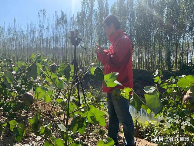 主播初次聊天话术900句,主播话术技巧大全