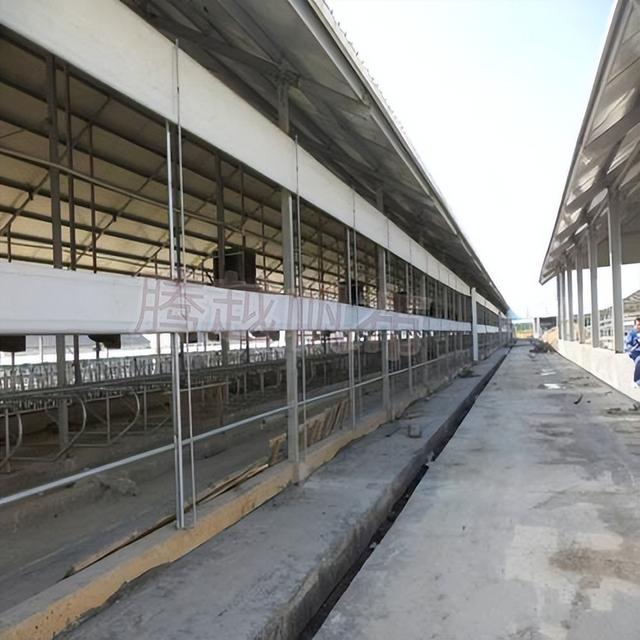 养鸡塑料平养网,养鸡塑料胶网