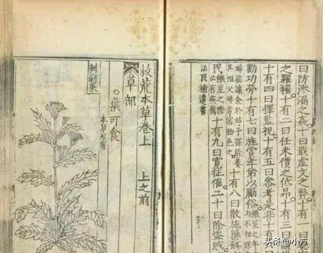 救荒本草是哪个朝代的人编撰的，救荒本草是哪个朝代的人编撰的书