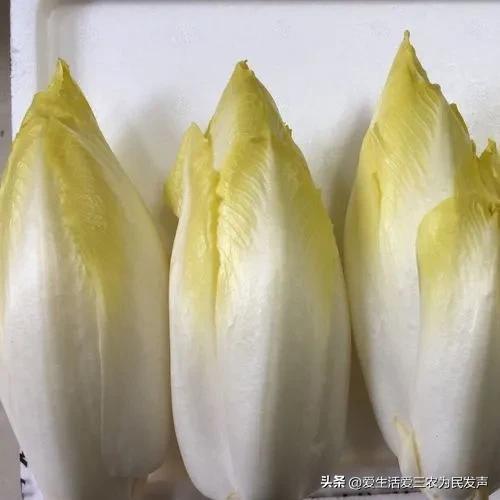 农村办厂暴利项目加盟,农村办厂暴利项目加盟怎么办