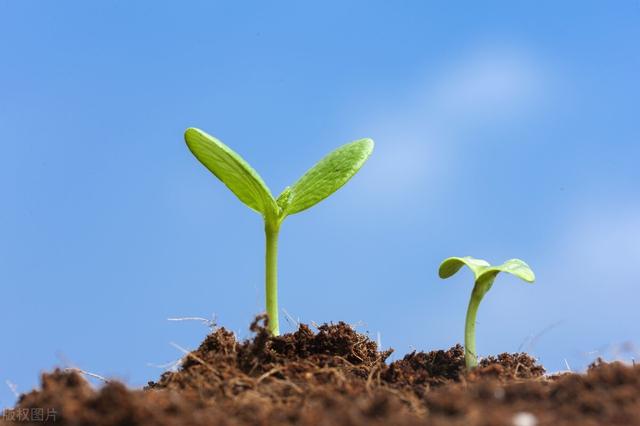 个人创业案例故事简短一点,创业案例小故事