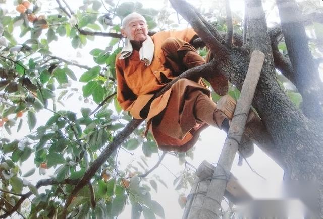 念佛发生奇迹,常念的佛号