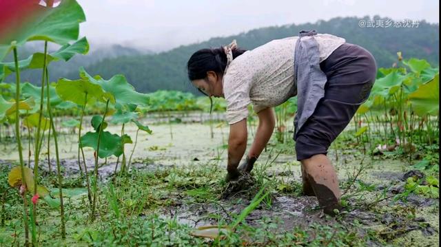 网上创业失败案例视频讲解,网上创业失败案例视频讲解大全