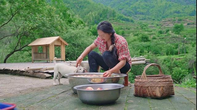 网上创业失败案例视频讲解,网上创业失败案例视频讲解大全