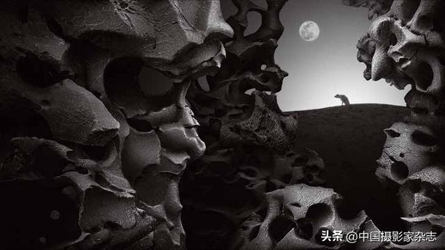 参赛摄影作品简介怎么写,参赛摄影作品简介怎么写模板