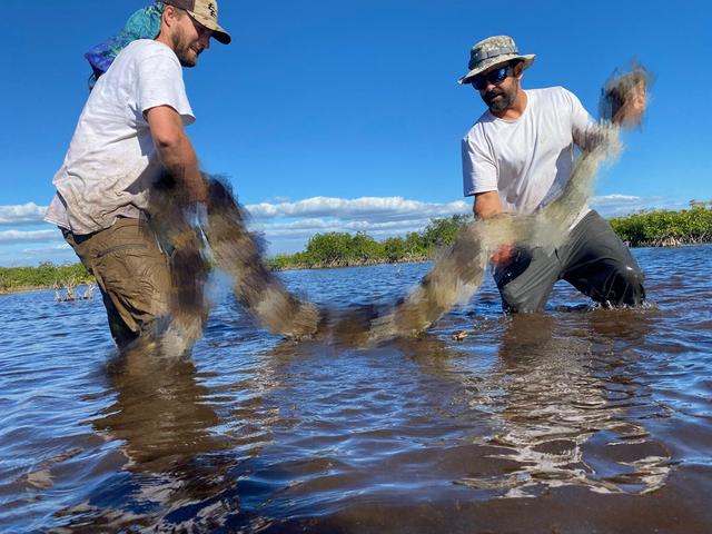蛇今年几岁了2022虚岁,蛇几岁2021年虚岁