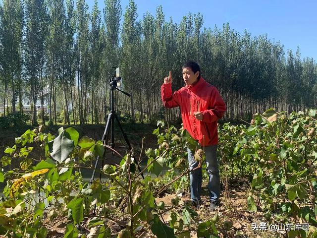 主播初次聊天话术900句,主播话术技巧大全