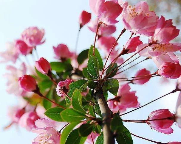 古代位分顺序表,古代位分排序