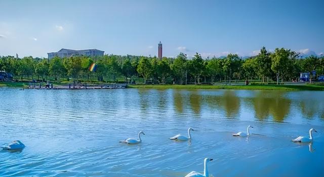 云南十大垃圾大学名单,云南十大垃圾大学名单图片