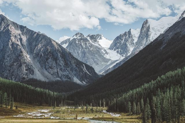 采购群名称大全，采购群名称大全霸气
