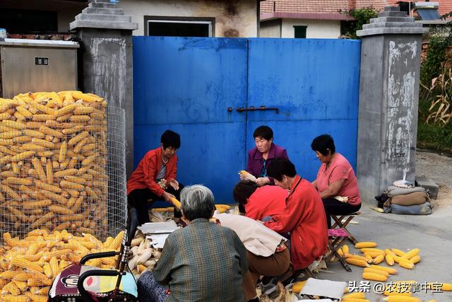 保留农村户口有意义吗没房没地,保留农村户口有意义吗没房没地怎么办