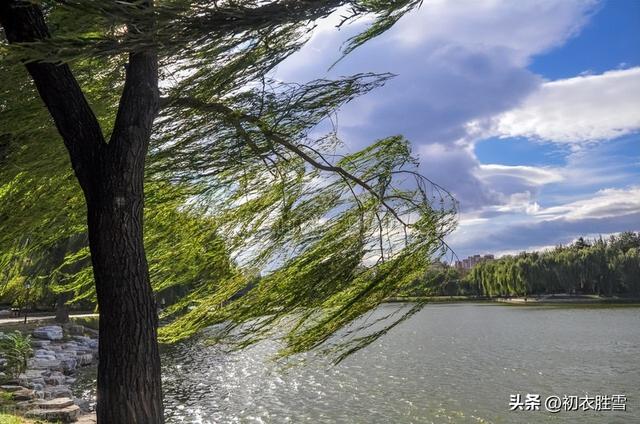 形容小女孩有灵气天真可爱的句子，形容小女孩有灵气天真可爱的词语