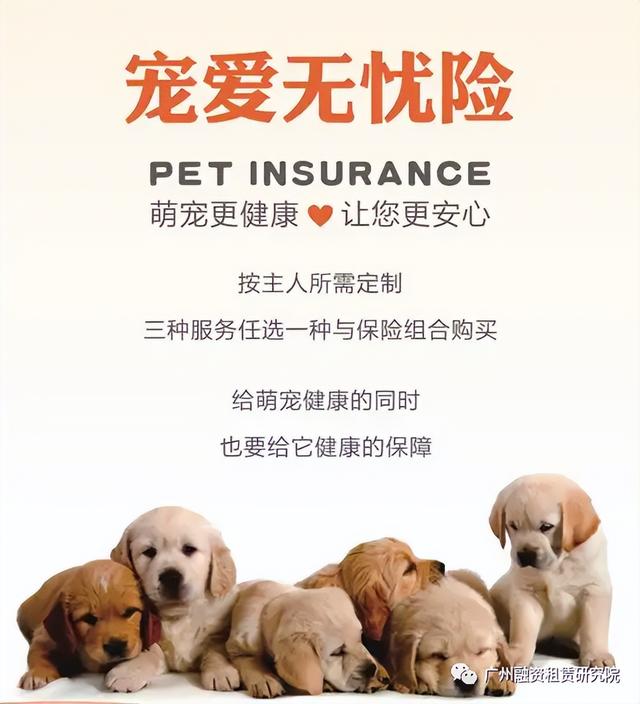 宠物店加盟大概要多少钱一个月,宠物店加盟大概要多少钱一个月呢