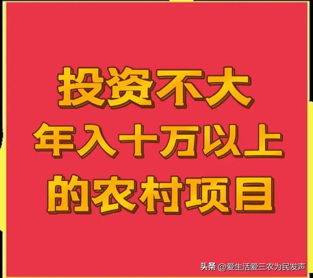 农村办厂暴利项目加盟,农村办厂暴利项目加盟怎么办