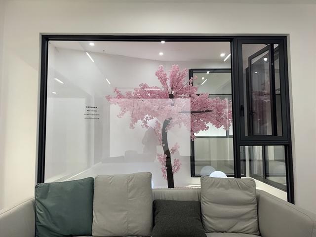 佰斯帝门窗几线品牌,佰斯帝门窗是几线品牌