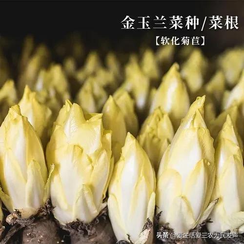 农村办厂暴利项目加盟,农村办厂暴利项目加盟怎么办