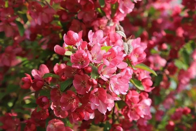 古代位分顺序表,古代位分排序