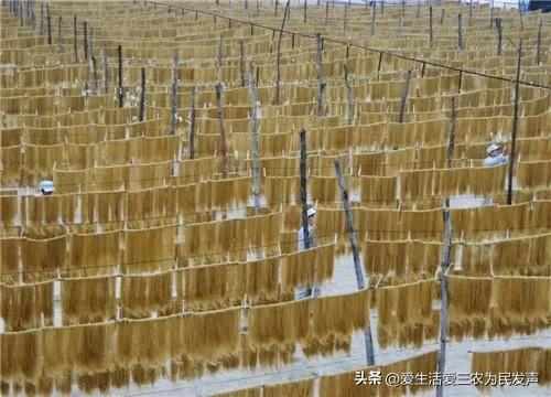 农村办厂暴利项目加盟,农村办厂暴利项目加盟怎么办