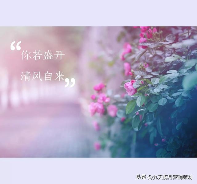 促销策略主要有哪些,促销策略主要有哪些形式