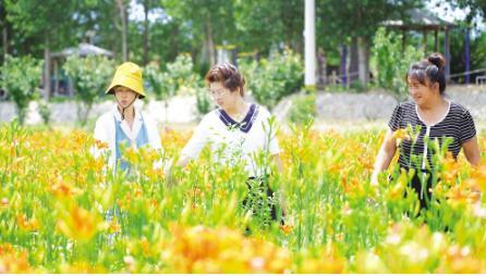 创业的案例故事，创业的案例故事短篇