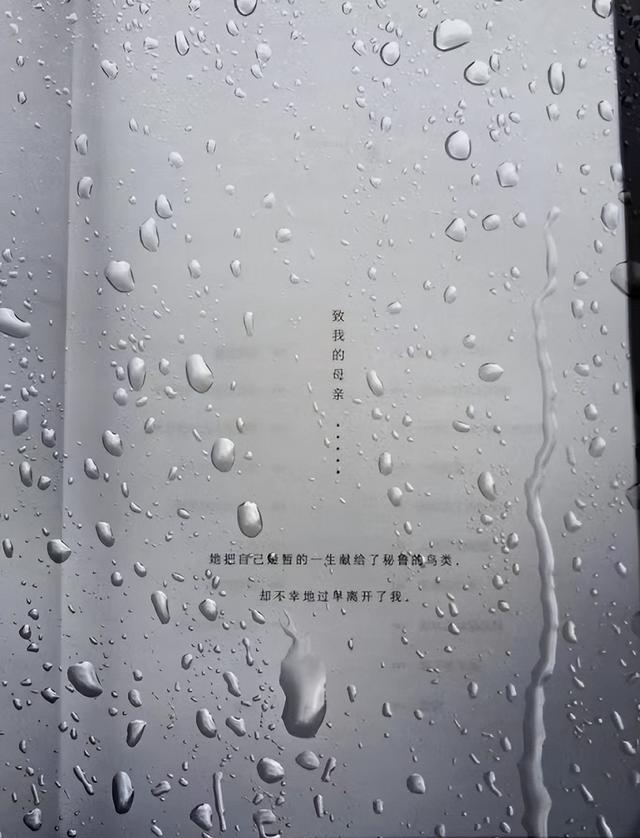 什么的翅膀填合适的词语,什么的翅膀填合适的词语叠词