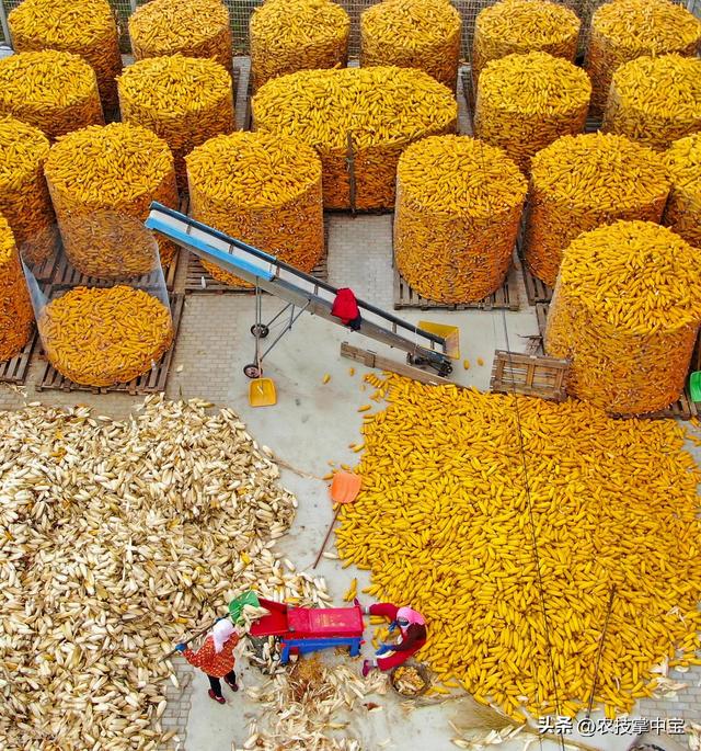 保留农村户口有意义吗没房没地,保留农村户口有意义吗没房没地怎么办