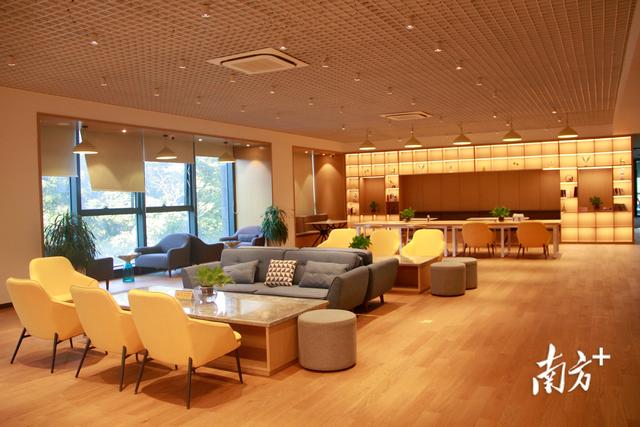 运营模式有哪几种,电商运营模式有哪几种