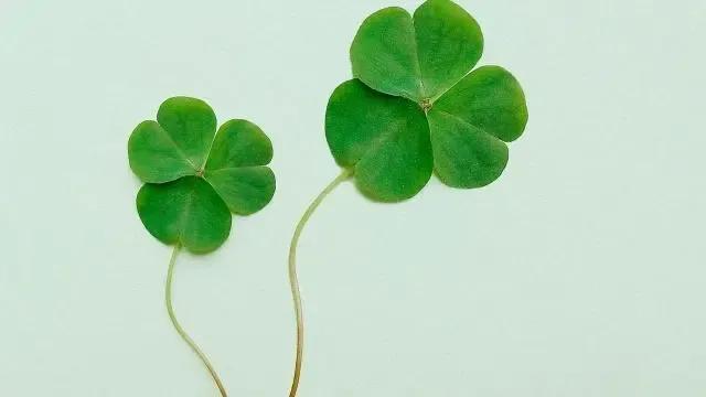 改变运气的微信名字女生,改变运气的微信名字女生带符号