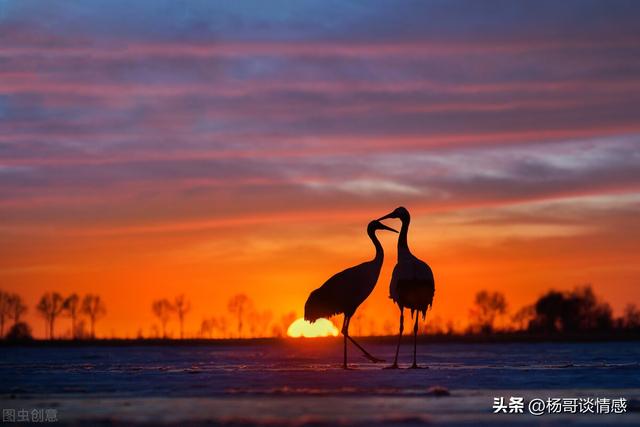 0秒测男生喜不喜欢你_学生时代,10秒测男生喜不喜欢你_学生时代,发消息"