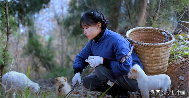 一年赚22亿的网红有谁,一年赚22亿的网红有谁了