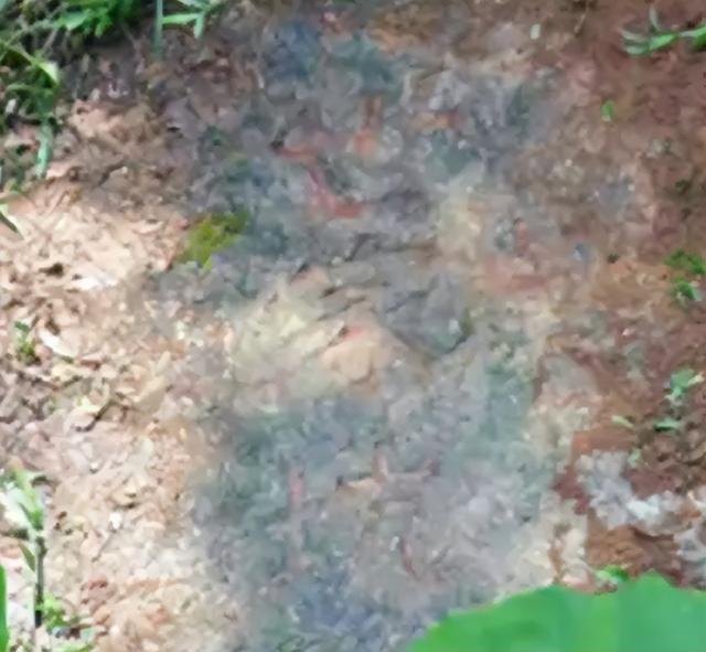 中国真的有隐藏世家么吗,中国真的有隐藏世家么吗知乎