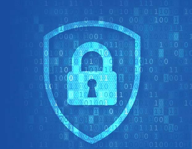 海外网站怎么上网,海外网站怎么上网的