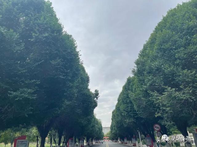 微信朋友圈多条内容折叠怎么设置,微信朋友圈多条内容折叠怎么设置权限