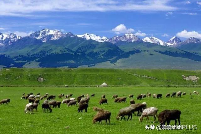 新疆南北两疆哪个治安好些,疆南和疆北哪个治安好治安