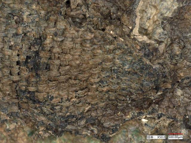 丝绸的主要成分是纤维素吗，丝绸的主要成分是纤维素吗是属于天然高分子化合物吗