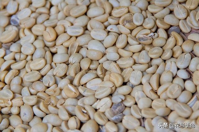 咖啡品种及口味图表,咖啡品种及口味图表高清