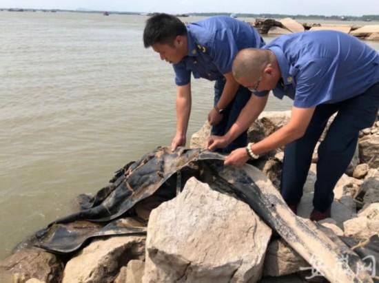 蛇今年几岁了2022虚岁,蛇几岁2021年虚岁