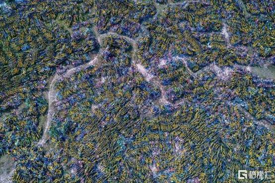 ofo退押金方法2022支付宝，支付宝ofo怎么退押金