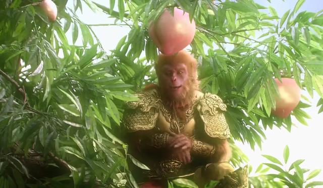 陌拜面销是什么意思,陌拜和面销