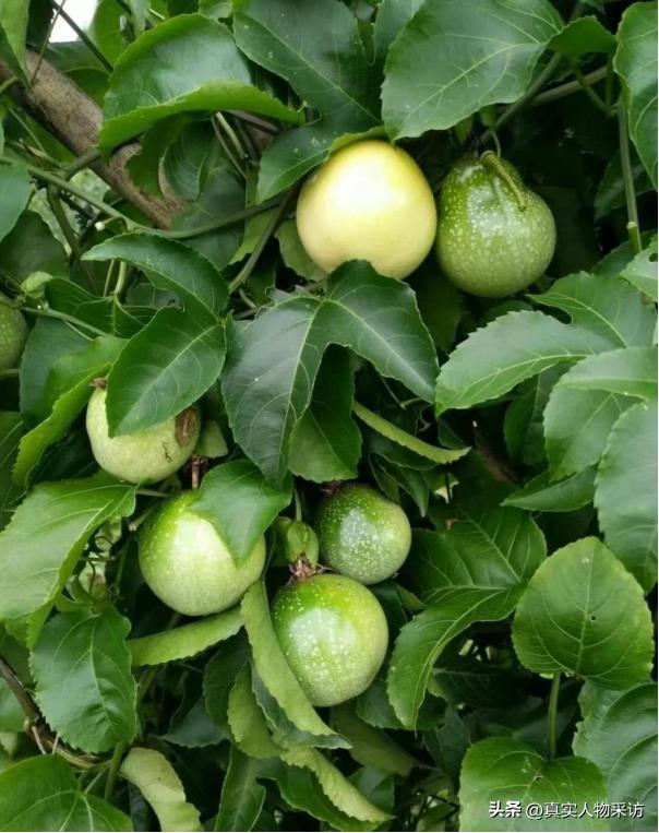 老人疗养院多少钱一个月，养老院一个月一般多少钱