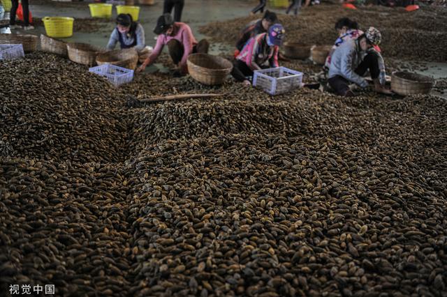 叼嘴巴小罐槟榔,叼嘴巴30元槟榔包装