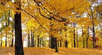 快手申请解封理由100字,快手申请解封理由100字范本