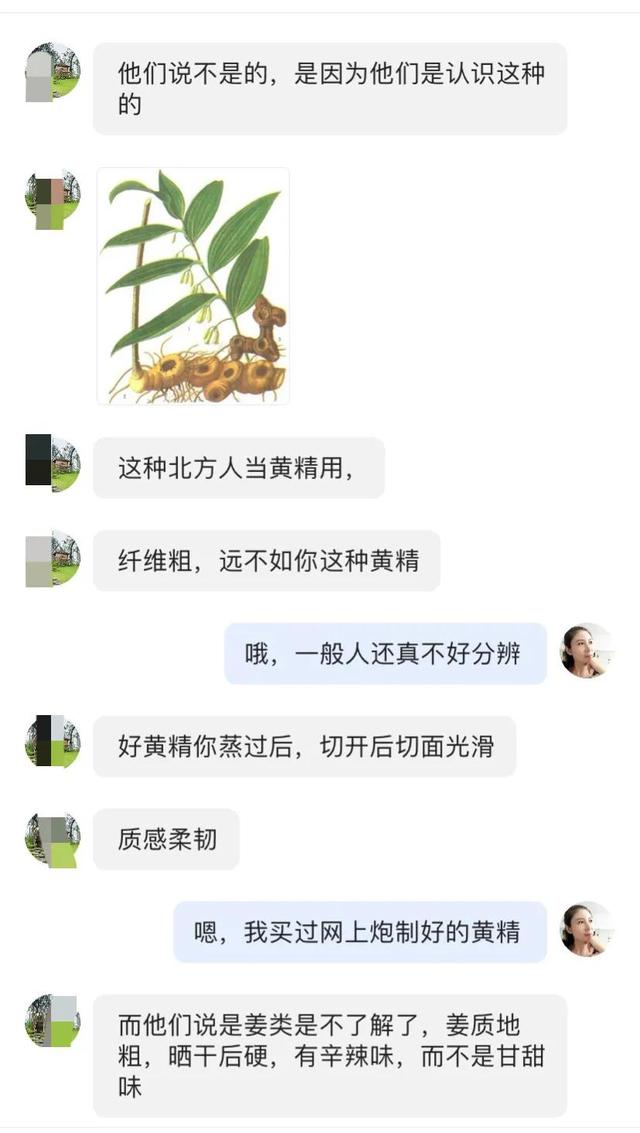 黄金药材价格多少钱一斤,黄金药材的价格